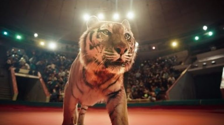 ПРЕМЬЕРА! ЛЕНИНГРАД – «КОЛЬЩИК»